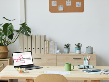 Agence Béroud Immobilier / Agence